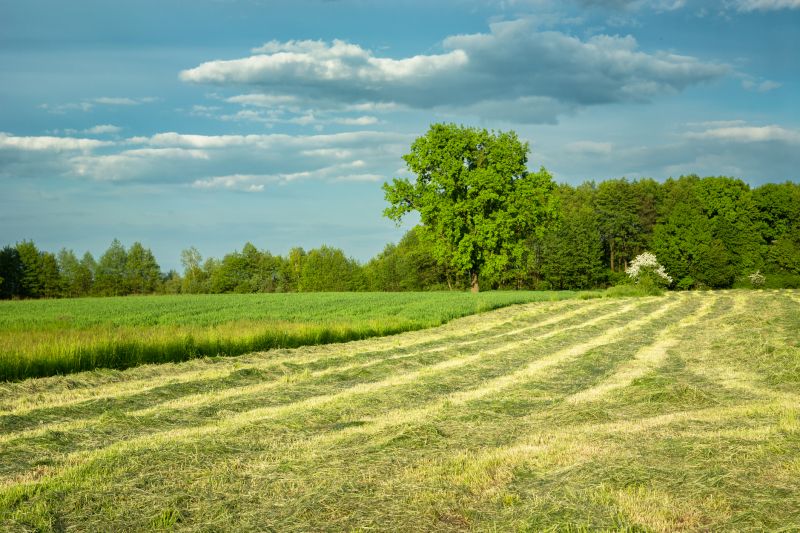 Meadow Mowing in Calvert County, MD