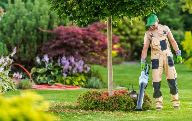 Vacant Property Maintenance