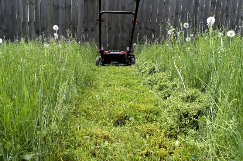 Acreage Mowing Service in Waldorf, MD