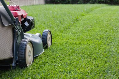 Lawn Care Service in Bowie, MD