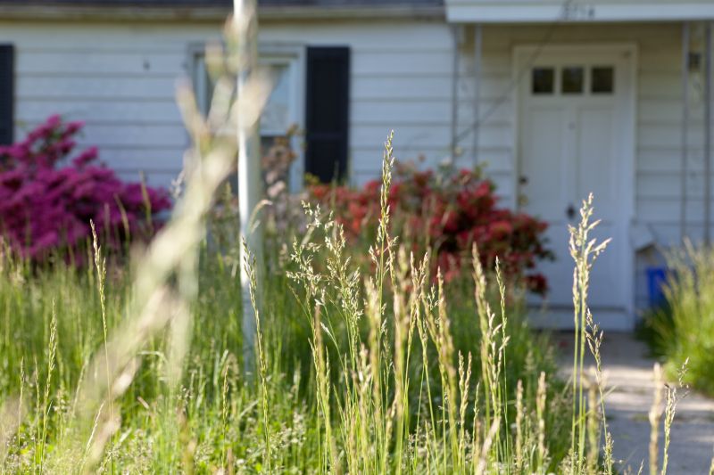 Meadow Mowing in Duluth, MN