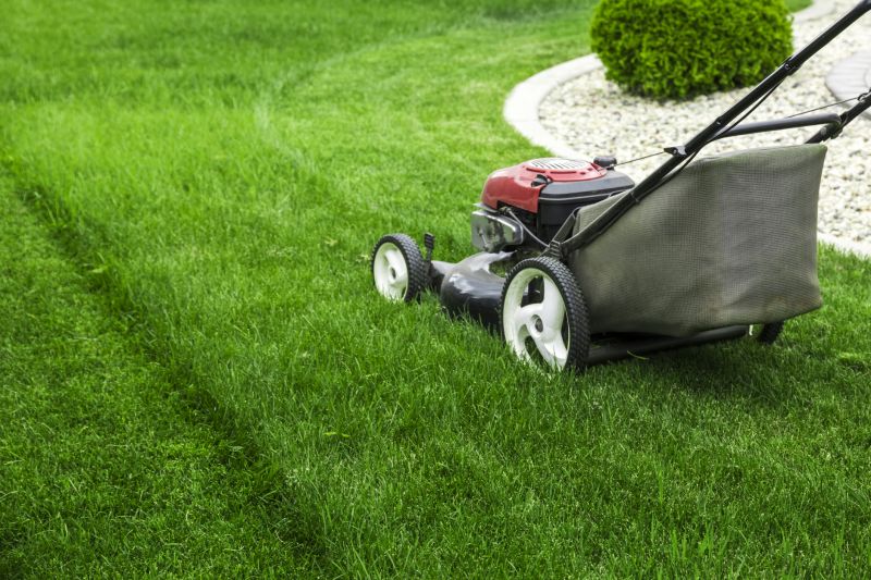 Routine Lawn Care in Bowie, MD