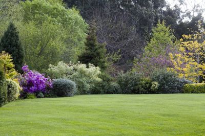 Spring Lawn Care in Bowie, MD