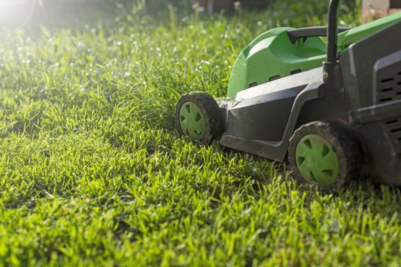 Weekly Lawn Care in Bowie, MD